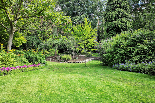 KI Gartengestaltung - Vorher